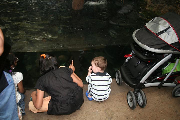 Grant's 2 year birthday031.JPG